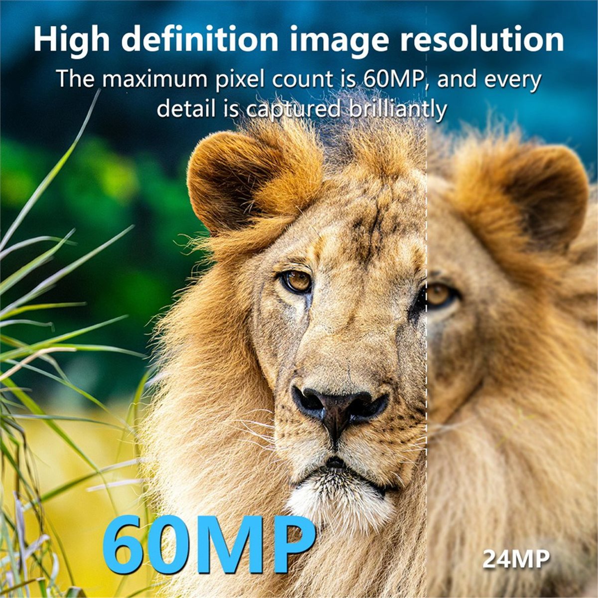 Hunting Outdoor Rug - AS62 8K Hunting Camera HD Wildlife